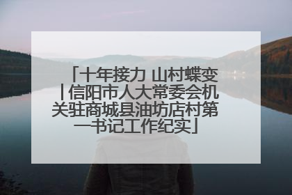 十年接力 山村蝶变│信阳市人大常委会机关驻商城县油坊店村第一书记工作纪实