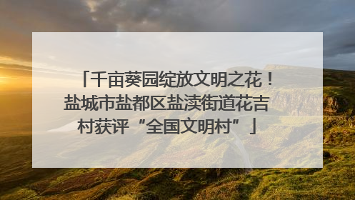 千亩葵园绽放文明之花！盐城市盐都区盐渎街道花吉村获评“全国文明村”
