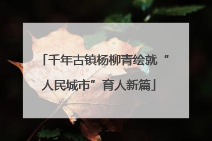 千年古镇杨柳青绘就“人民城市”育人新篇