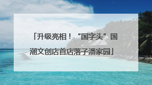 升级亮相！“国字头”国潮文创店首店落子潘家园