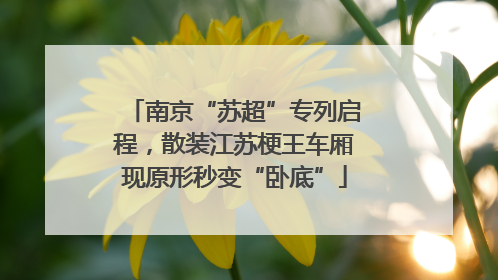 南京“苏超”专列启程，散装江苏梗王车厢现原形秒变“卧底”