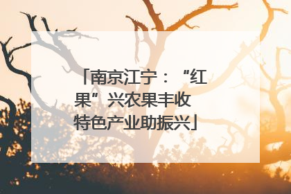 南京江宁：“红果”兴农果丰收 特色产业助振兴
