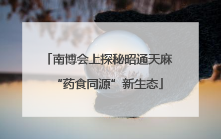 南博会上探秘昭通天麻“药食同源”新生态