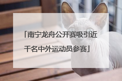 南宁龙舟公开赛吸引近千名中外运动员参赛