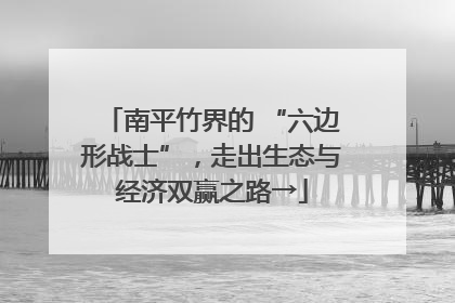 南平竹界的 “六边形战士”，走出生态与经济双赢之路→