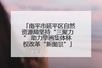南平市延平区自然资源局坚持“三聚力” 助力擎画集体林权改革“新图景”