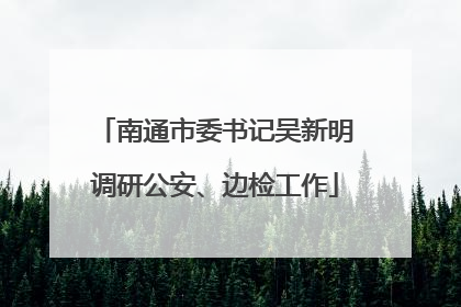 南通市委书记吴新明调研公安、边检工作