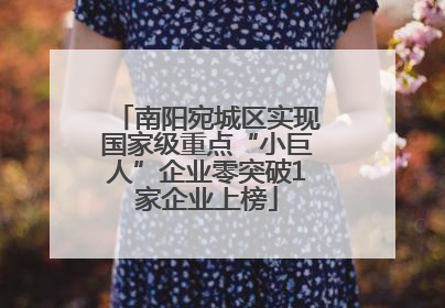 南阳宛城区实现国家级重点“小巨人”企业零突破1家企业上榜