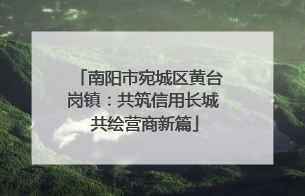 南阳市宛城区黄台岗镇：共筑信用长城 共绘营商新篇