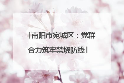 南阳市宛城区：党群合力筑牢禁烧防线