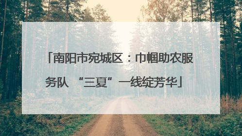南阳市宛城区：巾帼助农服务队 “三夏”一线绽芳华