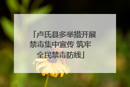 卢氏县多举措开展禁毒集中宣传 筑牢全民禁毒防线