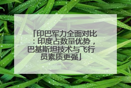 印巴军力全面对比：印度占数量优势，巴基斯坦技术与飞行员素质更强