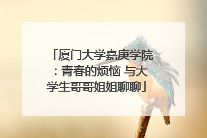 厦门大学嘉庚学院：青春的烦恼 与大学生哥哥姐姐聊聊