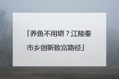 养鱼不用塘？江陵秦市乡创新致富路径