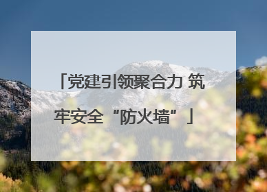 党建引领聚合力 筑牢安全“防火墙”