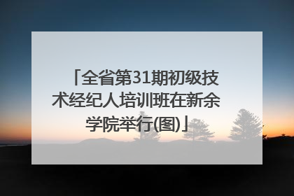 全省第31期初级技术经纪人培训班在新余学院举行(图)