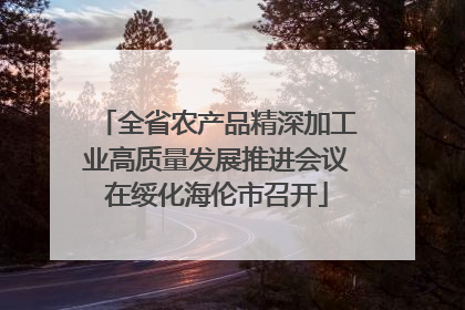 全省农产品精深加工业高质量发展推进会议在绥化海伦市召开