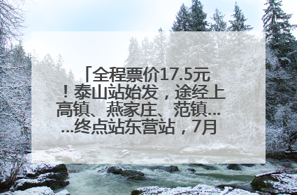 全程票价17.5元！泰山站始发，途经上高镇、燕家庄、范镇……终点站东营站，7月1日开通！