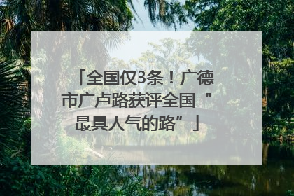 全国仅3条！广德市广卢路获评全国“最具人气的路”