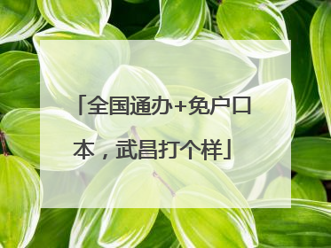 全国通办+免户口本，武昌打个样