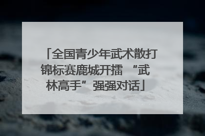 全国青少年武术散打锦标赛鹿城开擂 “武林高手”强强对话