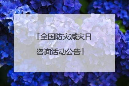 全国防灾减灾日咨询活动公告