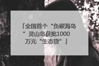全国首个“负碳海岛”灵山岛获批1000万元“生态贷”