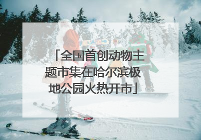 全国首创动物主题市集在哈尔滨极地公园火热开市