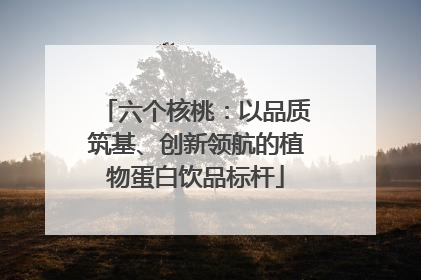 六个核桃：以品质筑基、创新领航的植物蛋白饮品标杆