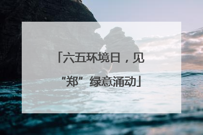 六五环境日，见“郑”绿意涌动