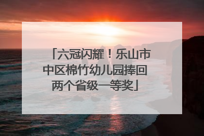 六冠闪耀！乐山市中区棉竹幼儿园捧回两个省级一等奖