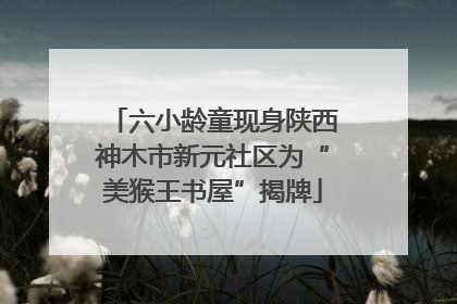 六小龄童现身陕西神木市新元社区为“美猴王书屋”揭牌