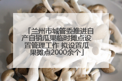 兰州市城管委推进自产自销瓜果临时摊点设置管理工作 拟设置瓜果摊点2000余个