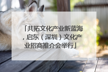 共拓文化产业新蓝海，启东（深圳）文化产业招商推介会举行