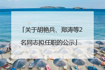 关于胡艳兵、郑涛等2名同志拟任职的公示