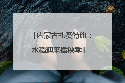 内蒙古扎赉特旗：水稻迎来插秧季