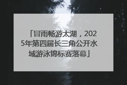 冒雨畅游太湖，2025年第四届长三角公开水域游泳锦标赛落幕