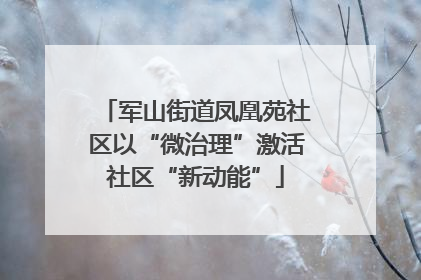 军山街道凤凰苑社区以“微治理”激活社区“新动能”