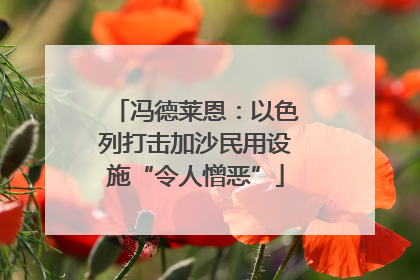 冯德莱恩：以色列打击加沙民用设施“令人憎恶”