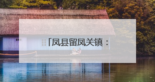 凤县留凤关镇：村委院子变身晒麦场 扎实推进“三夏”抢收工作