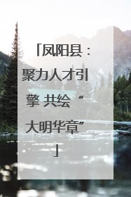 凤阳县：聚力人才引擎 共绘“大明华章”