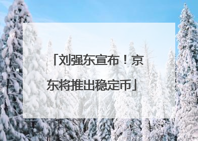 刘强东宣布！京东将推出稳定币