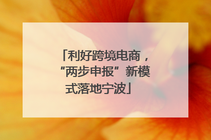 利好跨境电商，“两步申报”新模式落地宁波