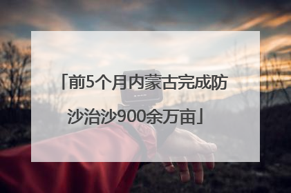 前5个月内蒙古完成防沙治沙900余万亩