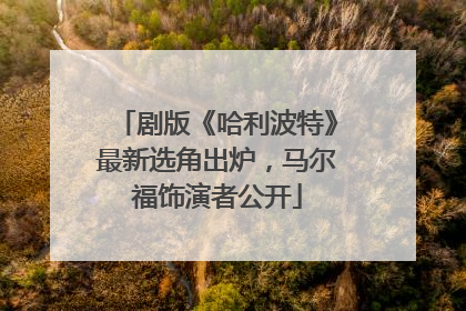 剧版《哈利波特》最新选角出炉，马尔福饰演者公开