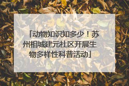 动物知识知多少！苏州相城建元社区开展生物多样性科普活动