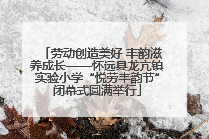 劳动创造美好 丰韵滋养成长——怀远县龙亢镇实验小学“悦劳丰韵节”闭幕式圆满举行
