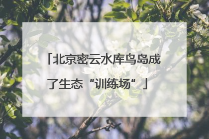 北京密云水库鸟岛成了生态“训练场”