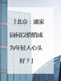 北京：潘家园何以悄悄成为年轻人心头好？